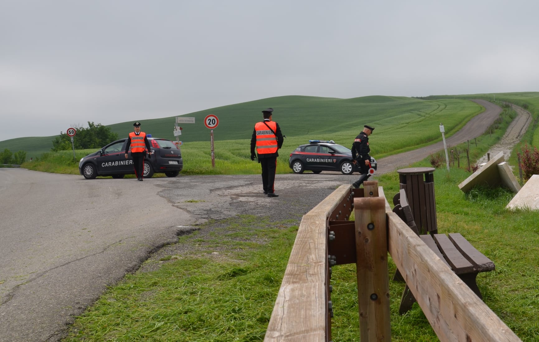 Lunamatrona, Due Auto Piombano Su Un Gregge: Strage Di Pecore Nella ...